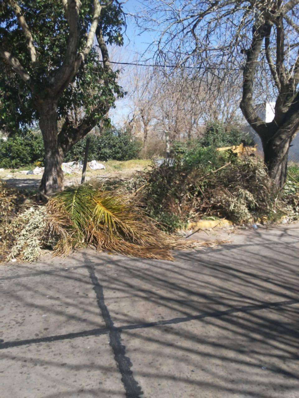 Preocupa el abandono en un terreno de 20, 472 y 473