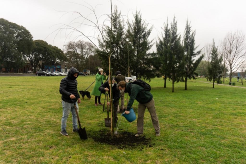 Jornada de forestación en el Parque de Meridiano V