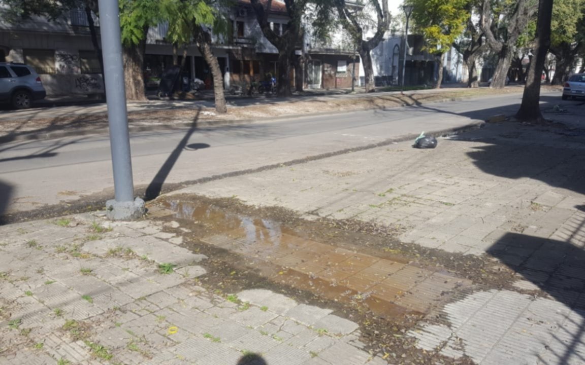 Pérdida de agua en diagonal 73  