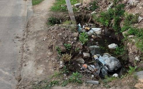 Denuncian un basural en 80 entre 8 bis y 9
