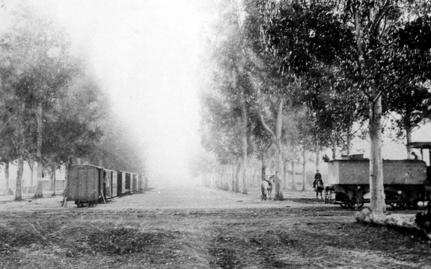 Avenida uno cerca de la estación de La Plata: 19 Noviembre de 1882
