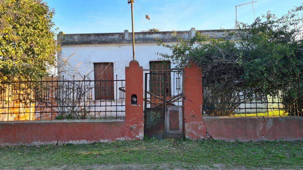 Apalearon con saña a dos perros para poder desvalijar una casa