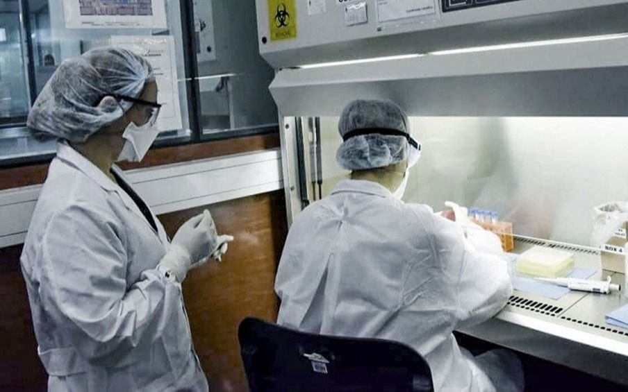 Coronavirus en Argentina: 89 muertos y 9.803 nuevos contagios