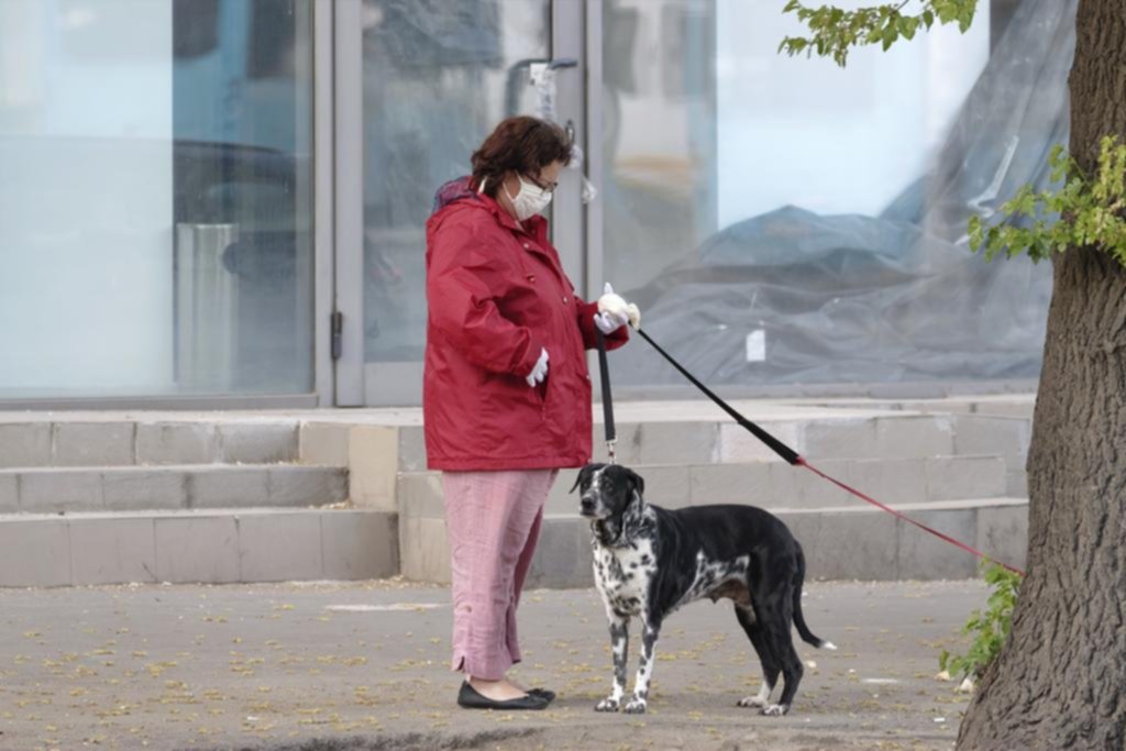 Vida de perros