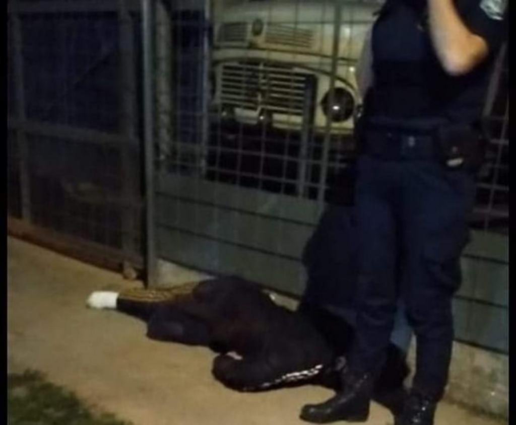 Una policía mató a motochorros que la asaltaban en la parada del colectivo