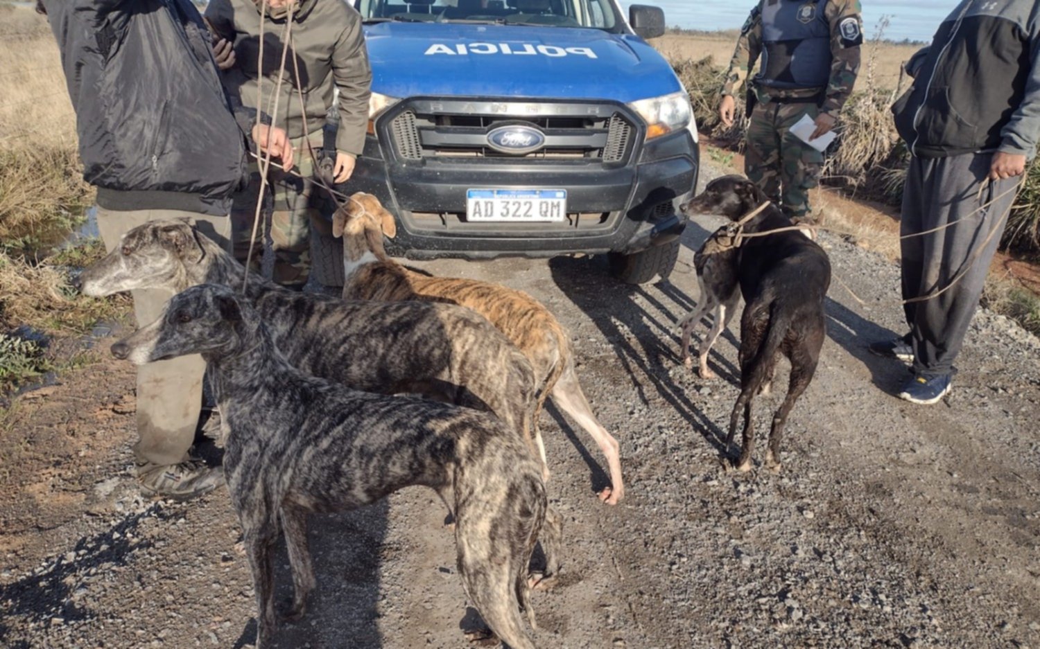 Apresaron a dos cazadores que se habían metido a un campo privado en Ruta 2