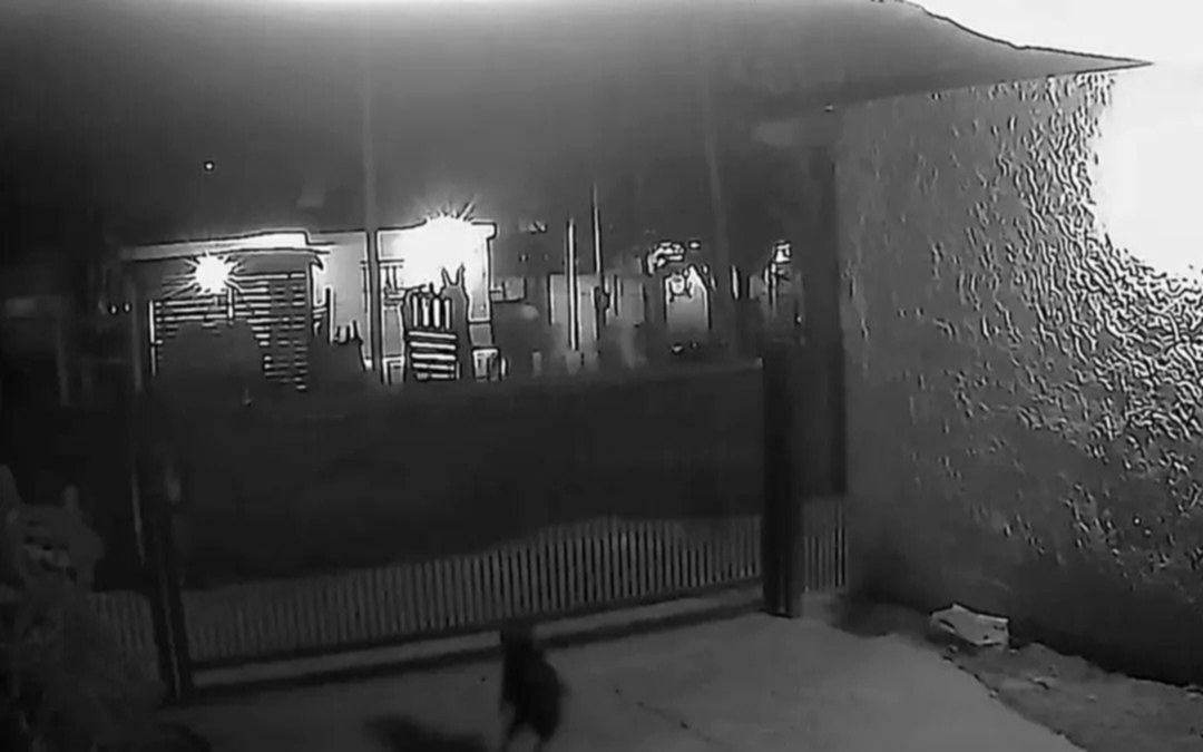  Vidas robadas: Un niño herido y Milagros una adolescente muerta, tras enfrentamiento de bandas en Florencio Varela