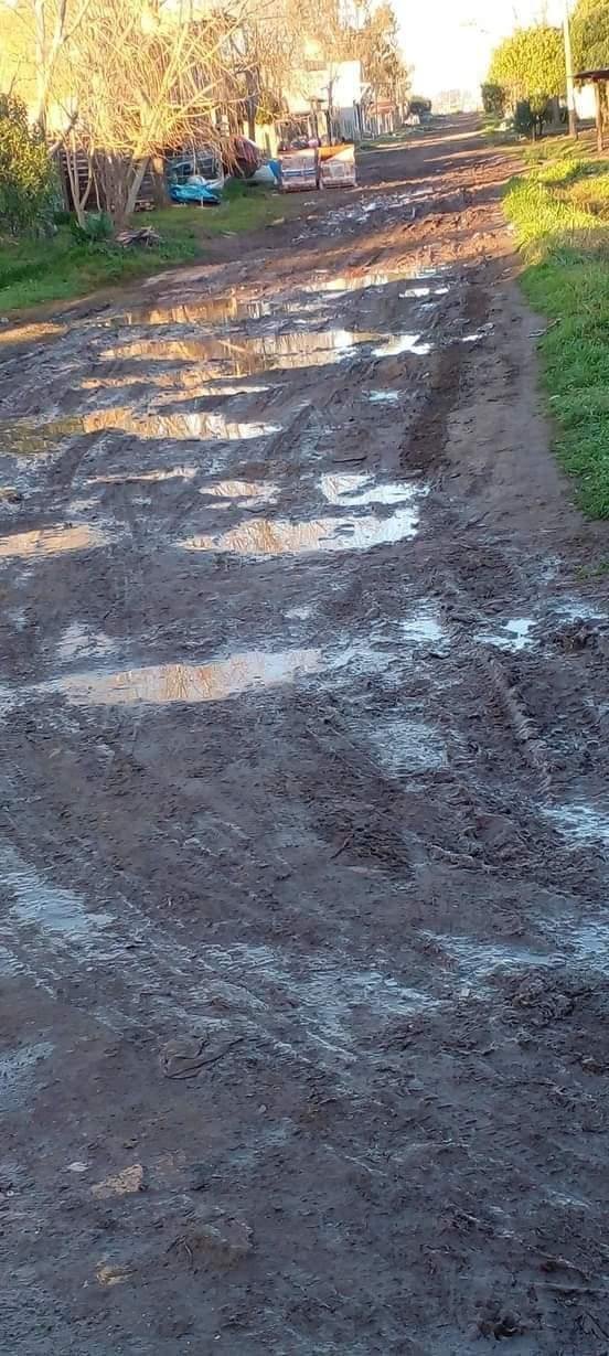 Como para correr un rally: así están en 614 y 123
