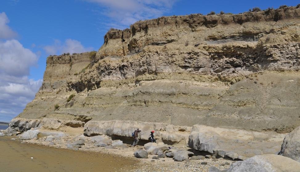 Descubren en La Plata origen de mamíferos patagónicos