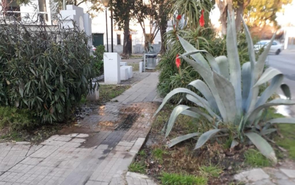 Pérdida de agua y vereda destrozada en diagonal 75 y 58