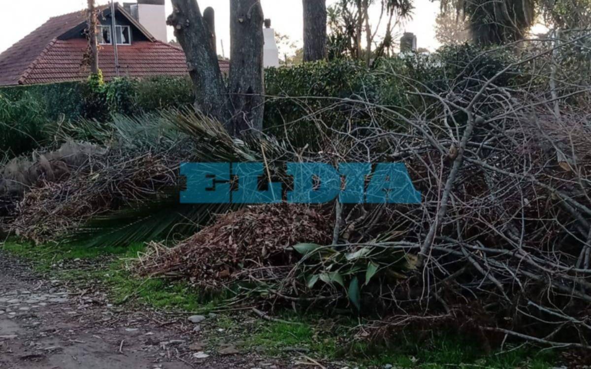 Quejas en Villa Elisa por falta de recolección de residuos no habituales