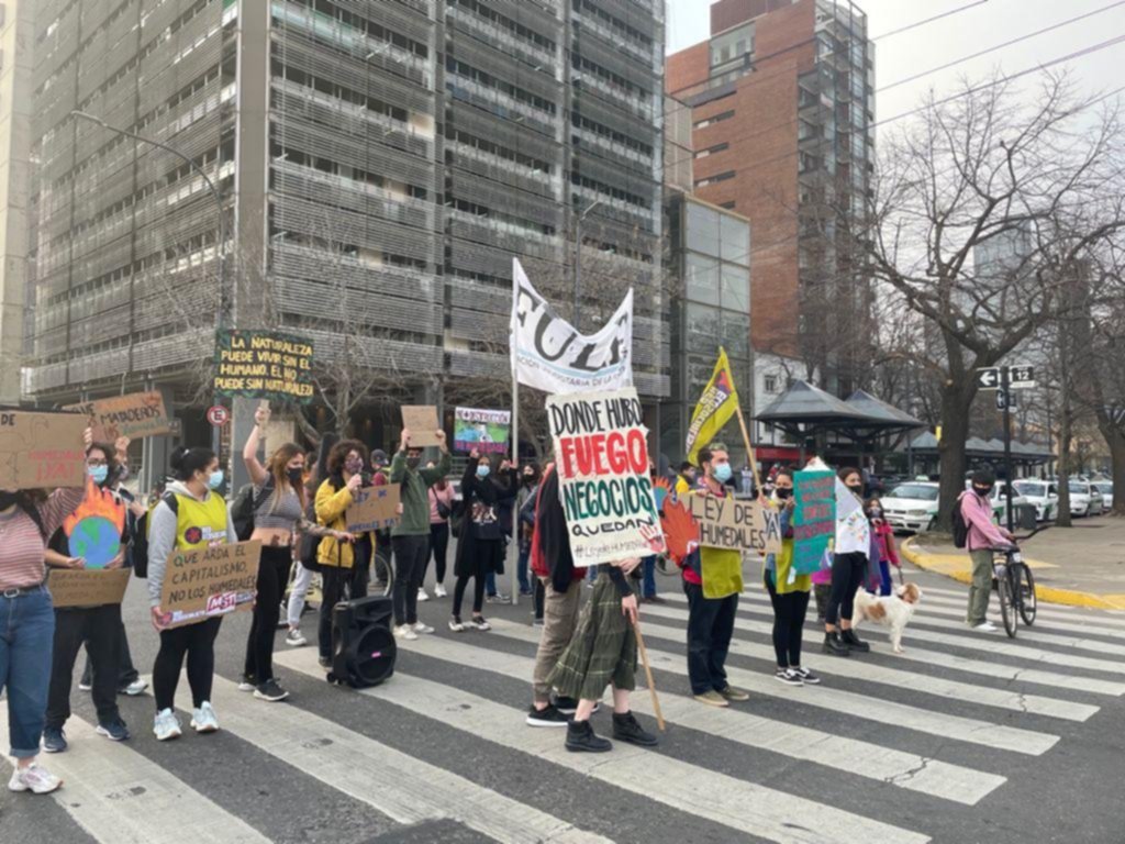 La Plata dijo presente en la protesta nacional por la ley de Humedales