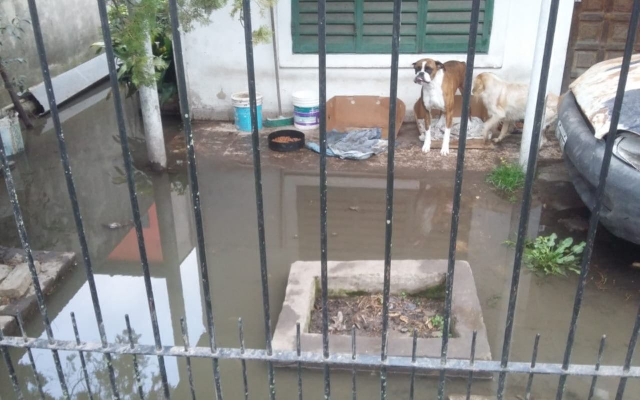 Por un desborde se les inunda la casa e improvisan un desagüe pluvial