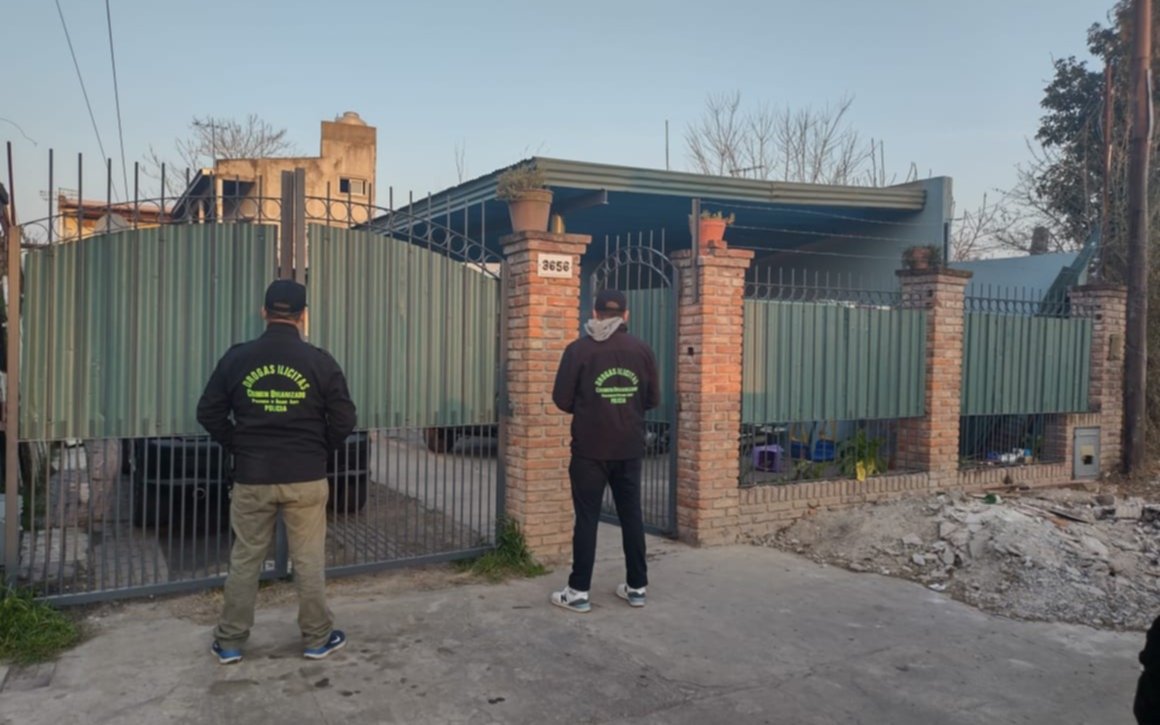 Desbaratan un invernadero de marihuana en Gorina: un hombre quedó detenido