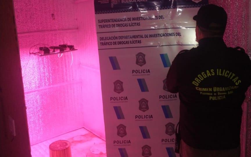 Armó un invernáculo en su casa, pero no plantaba lechuga