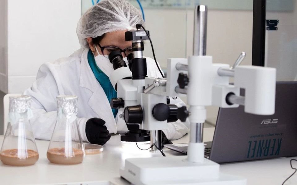 Nuevo estudio apunta que el masitinib podría ser la droga más eficaz contra el COVID-19