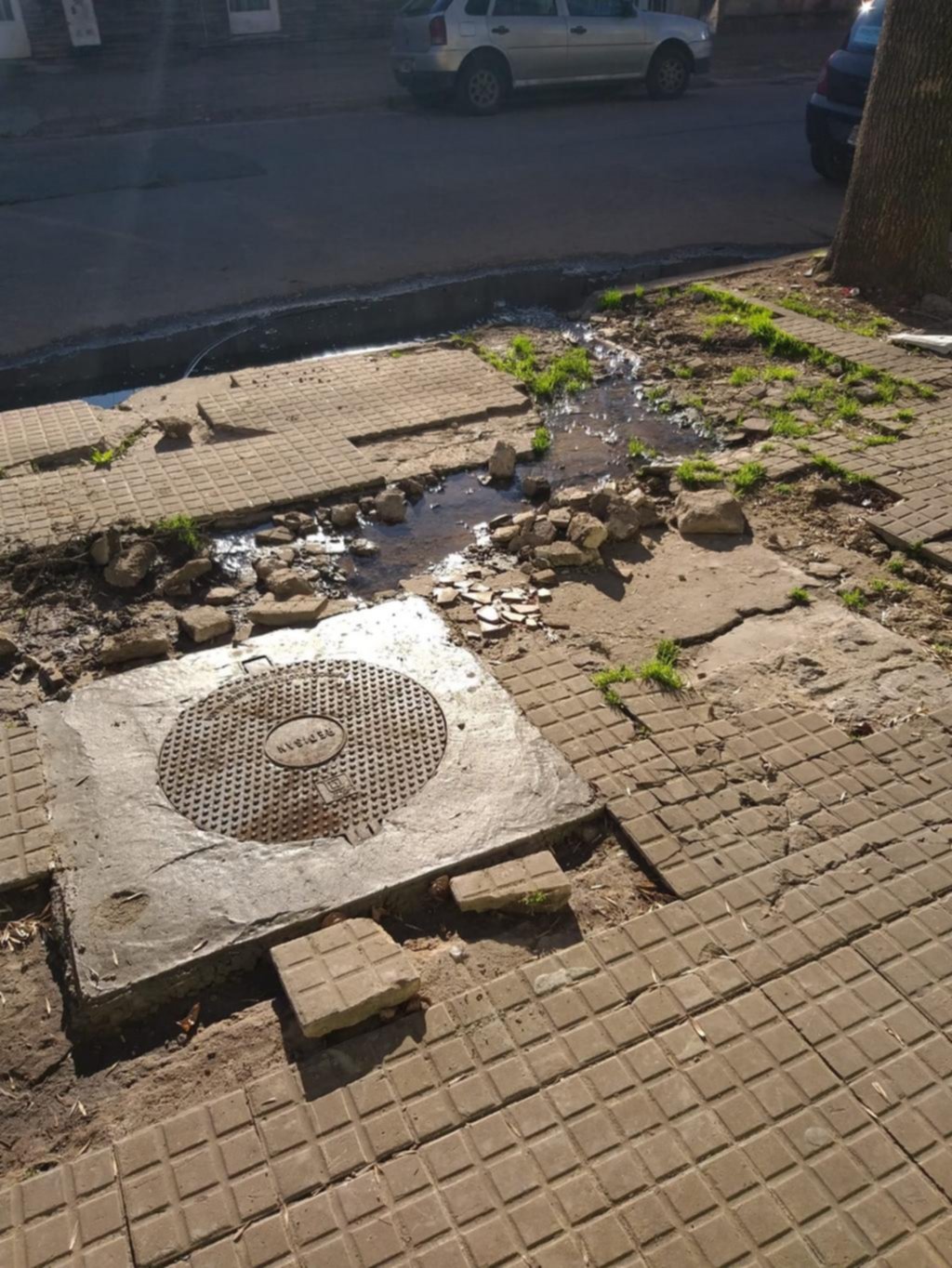 Foco infeccioso a metros de un jardín maternal