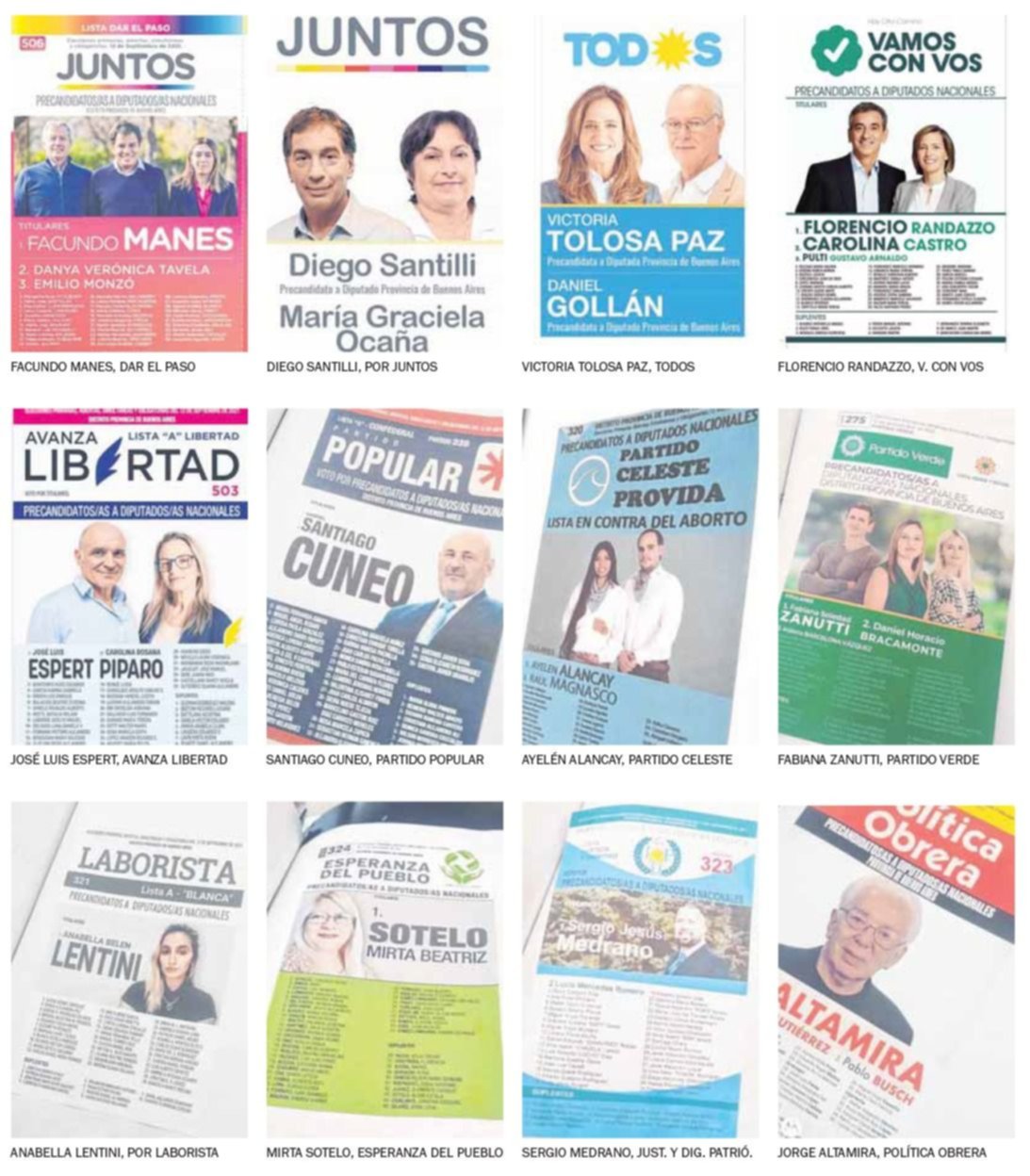 Candidatos para todos los gustos: 28 listas a diputados por la Provincia