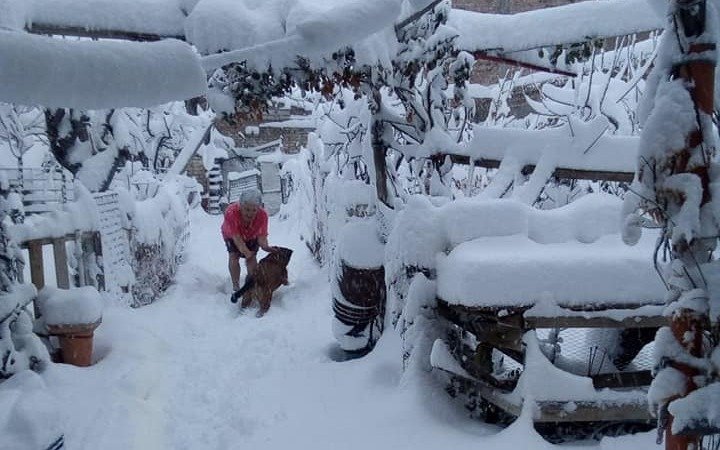 Postales imperdibles de la nieve en la Patagonia argentina: hay alerta por fuertes nevadas