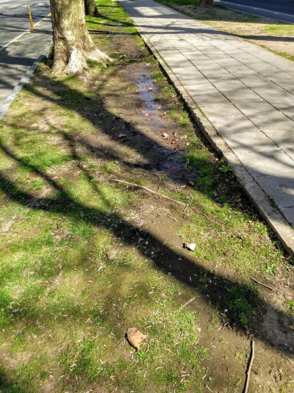 Pérdida de agua en la rambla de 53 entre 15 y 16