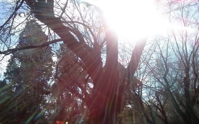 Fresco pero con sol