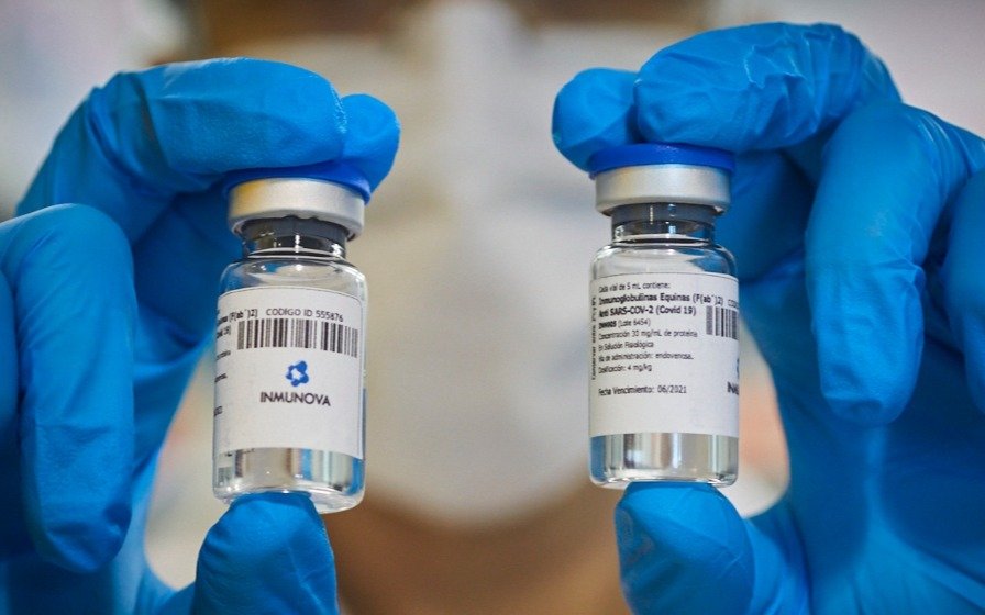 Tras ser aprobado por Anmat, pacientes recibirán suero equino hiperinmune contra coronavirus
