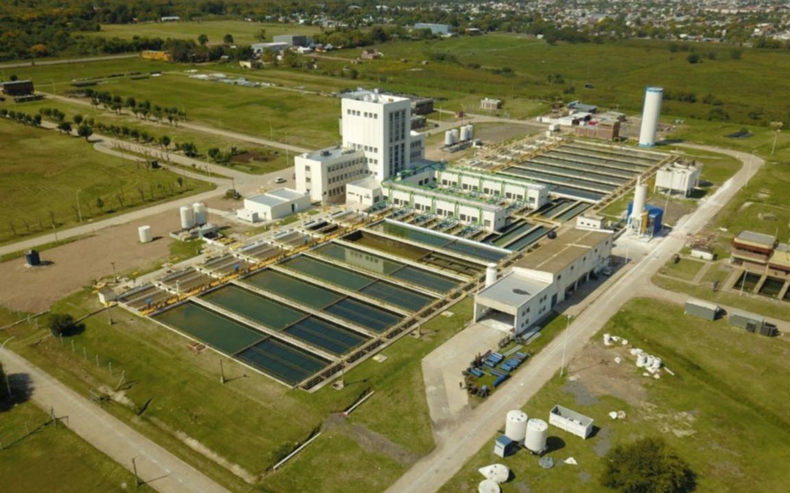 Otra vez algas en el Río de la Plata: podría faltar agua potable en la Región