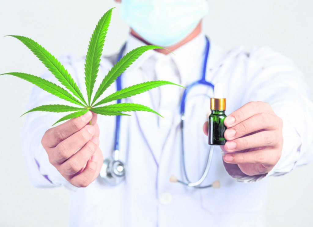 Sólo el 17,6% de las personas que usan cannabis lo hace con fines medicinales