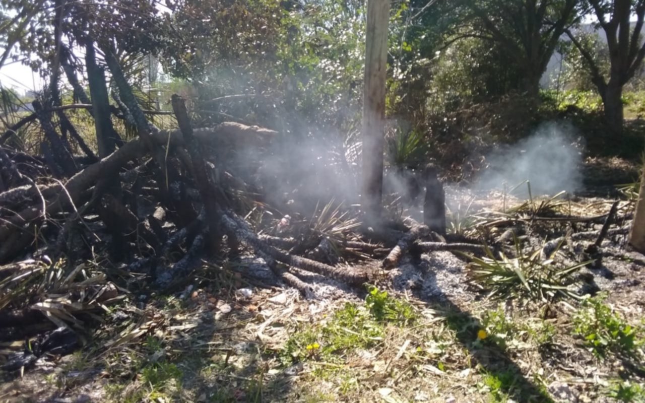 Bronca e indignación en San Carlos: le apuntan a robacables por incendio de palmeras y postes