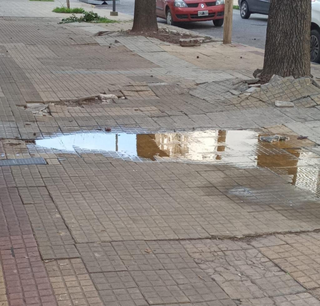 Una pérdida de agua en la cuadra de 50 entre 17 y 18