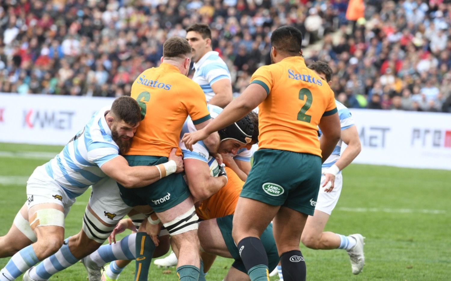 Los Pumas perdieron frente a Australia en su debut en el Rugby Championship