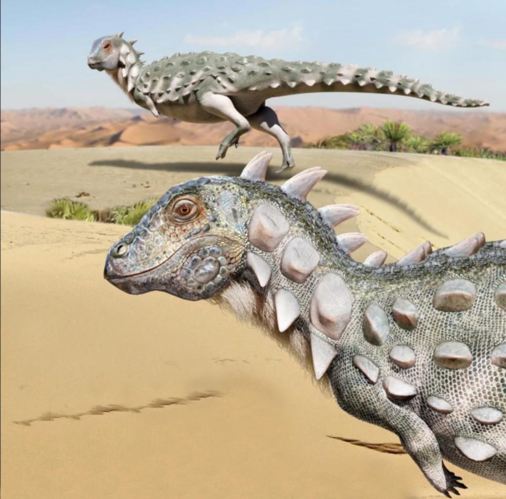 Jakapil: presentan al primer dinosaurio de su tipo encontrado en el Hemisferio Sur