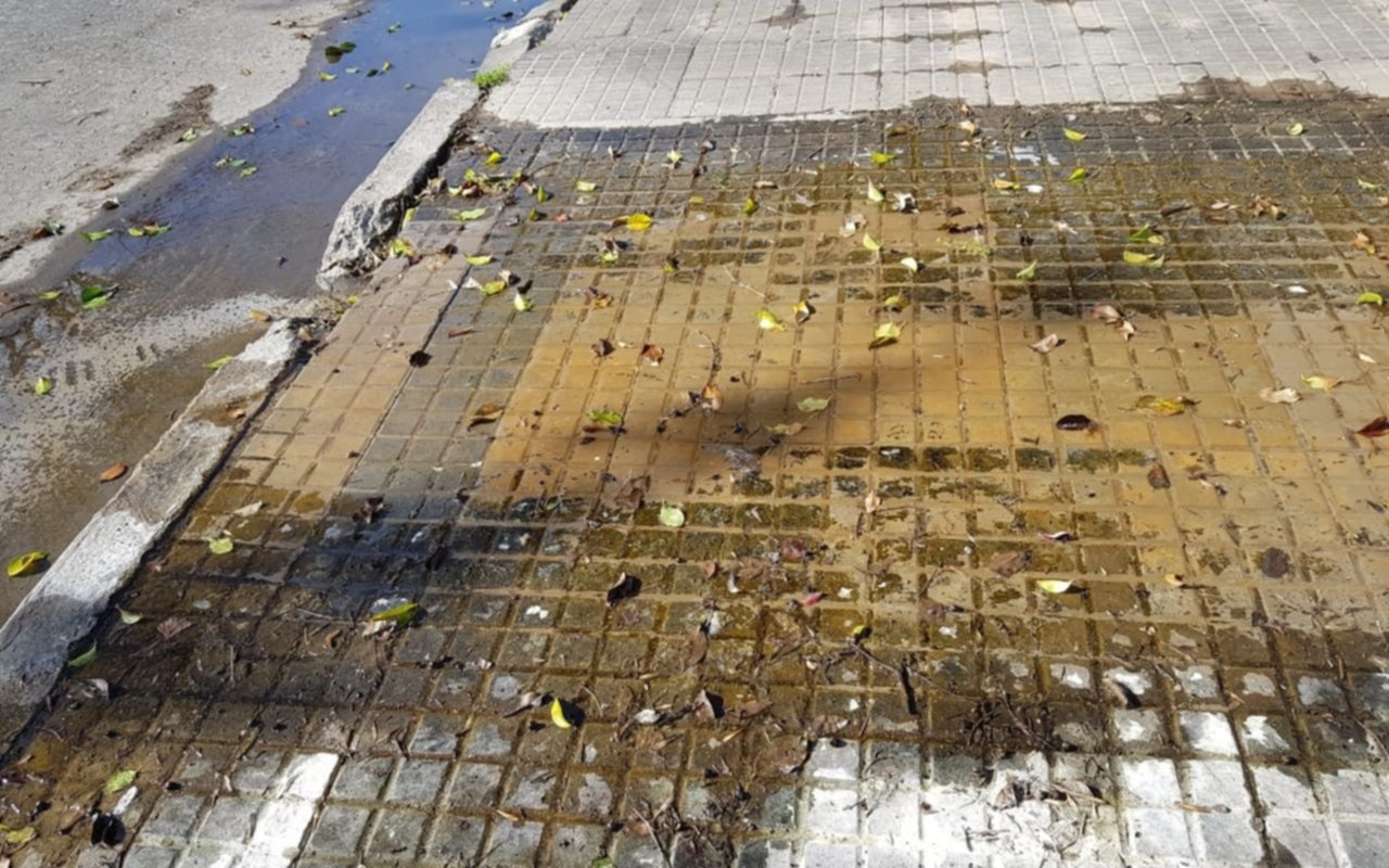 Vecinos de un barrio platense reclaman pérdida de agua y afirman que aún "no la repararon"