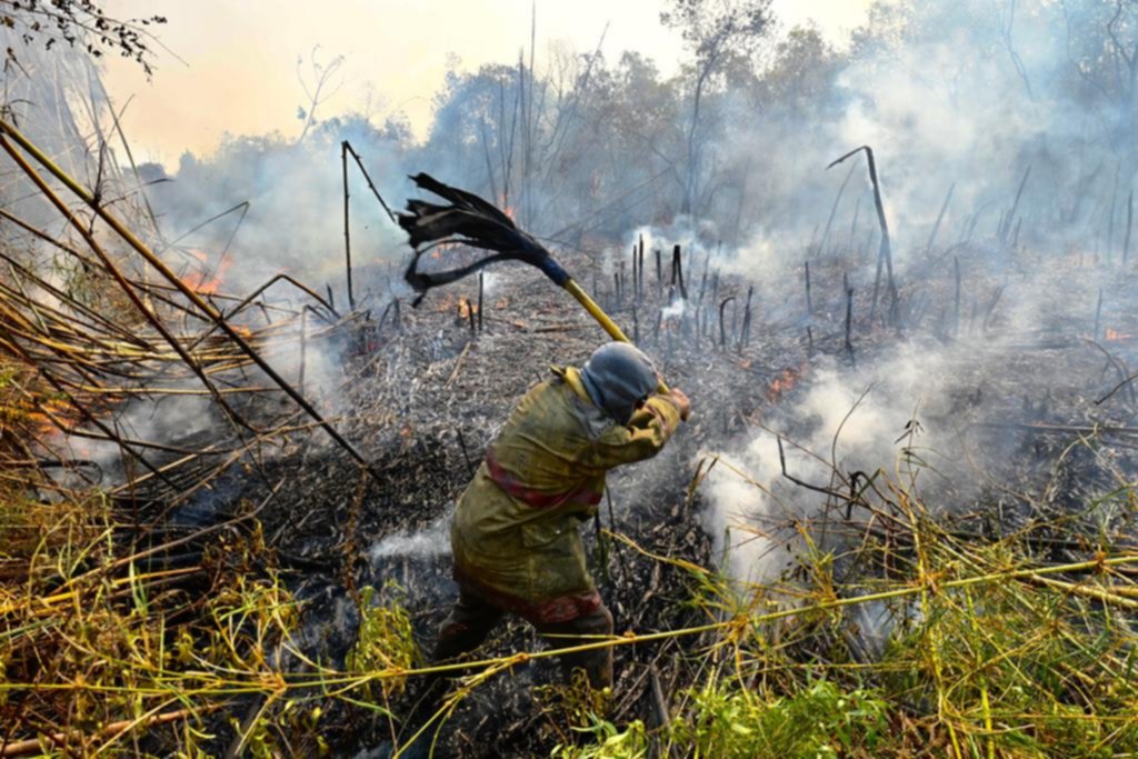 Incendios en el Paraná: detuvieron a tres hombres en supuesta flagrancia