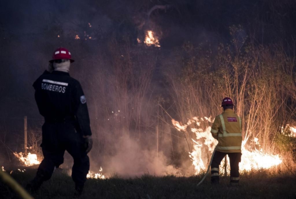 El drama de los incendios forestales: se duplicaron en los últimos 20 años