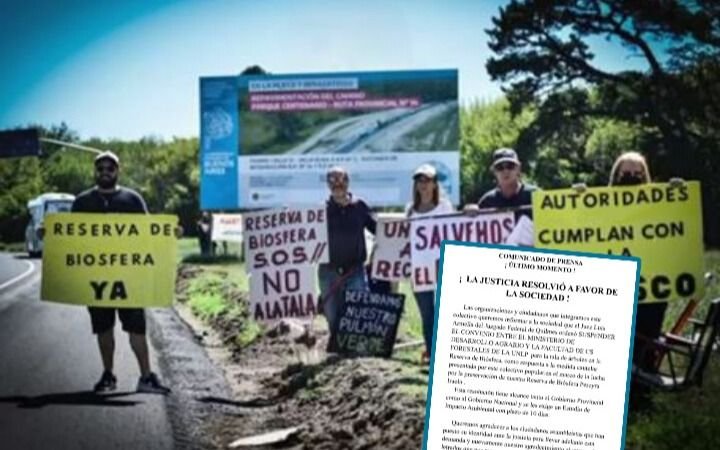Tala en el Parque Pereyra: la Justicia ordenó suspender un convenio entre Agronomía y la Provincia 