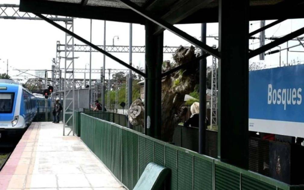 El tren Roca funcionará con servicio limitado el fin de semana 