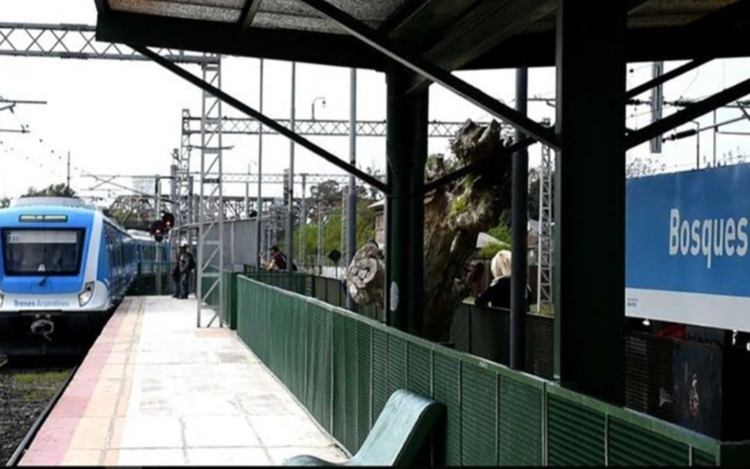 Funcionan limitados varios ramales del tren Roca: qué sucede con el servicio a La Plata