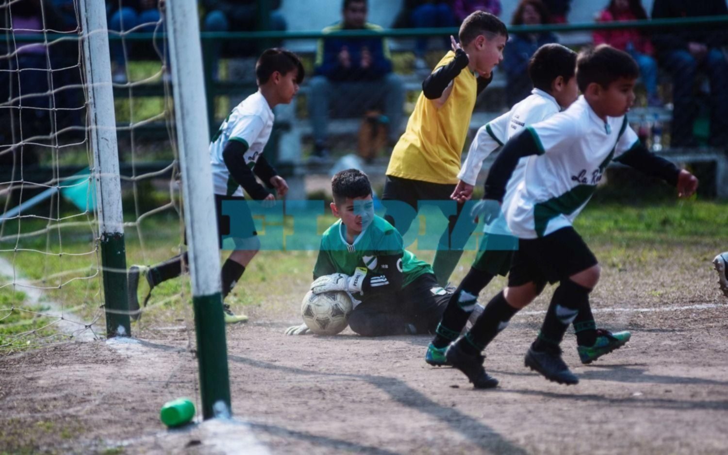Vuelve el suple de fútbol infantil, cada martes con EL DIA
