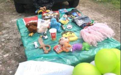 En el Día de las Infancias, un platense de 8 años da el ejemplo: donó sus juguetes para los que menos tienen