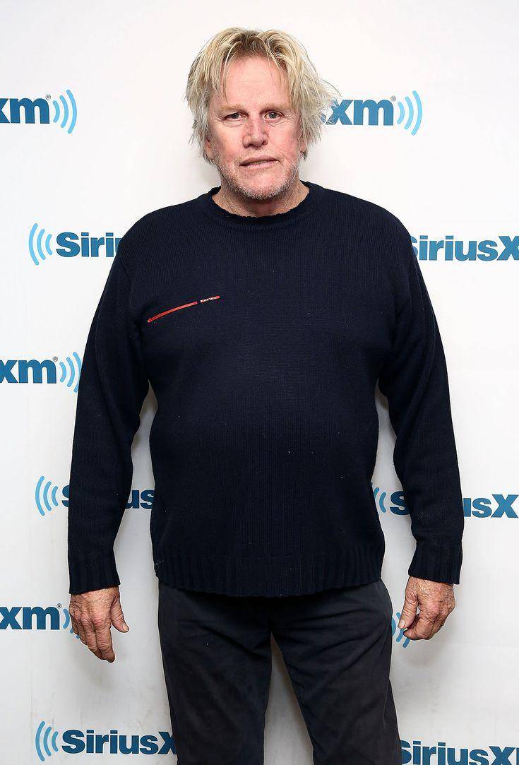 Gary Busey, acusado de delitos sexuales en una feria de fans en Nueva Jersey