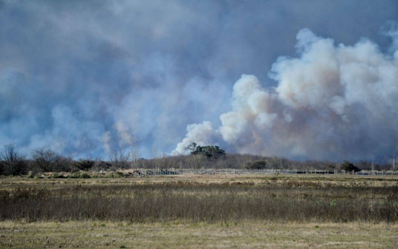 Incendios en el Delta del Paraná: focos importantes en Rosario-Victoria, San Pedro y Zárate