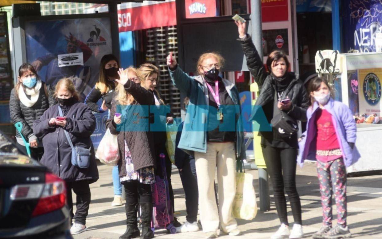 VIDEO. Las sensaciones en La Plata por la incertidumbre en la frecuencia de los micros