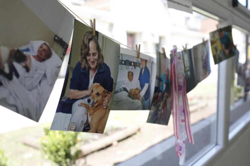 Cuidados paliativos: una nueva ley frente a las enfermedades más penosas