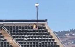 Video viral: investigan a dos personas por tener relaciones sexuales durante un partido de la MLB