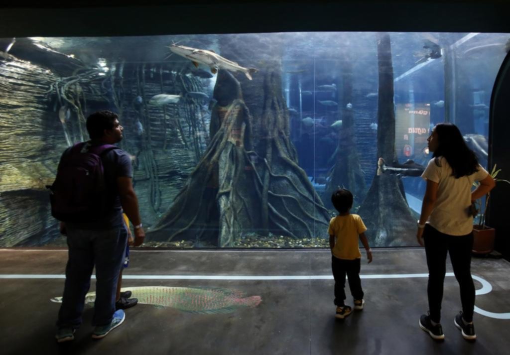 El acuario que sumerge a ciegos y sordos en una experiencia única