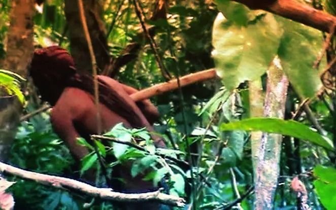 Murió el "indio del hoyo", el hombre que vivió 26 años aislado en la selva de Brasil