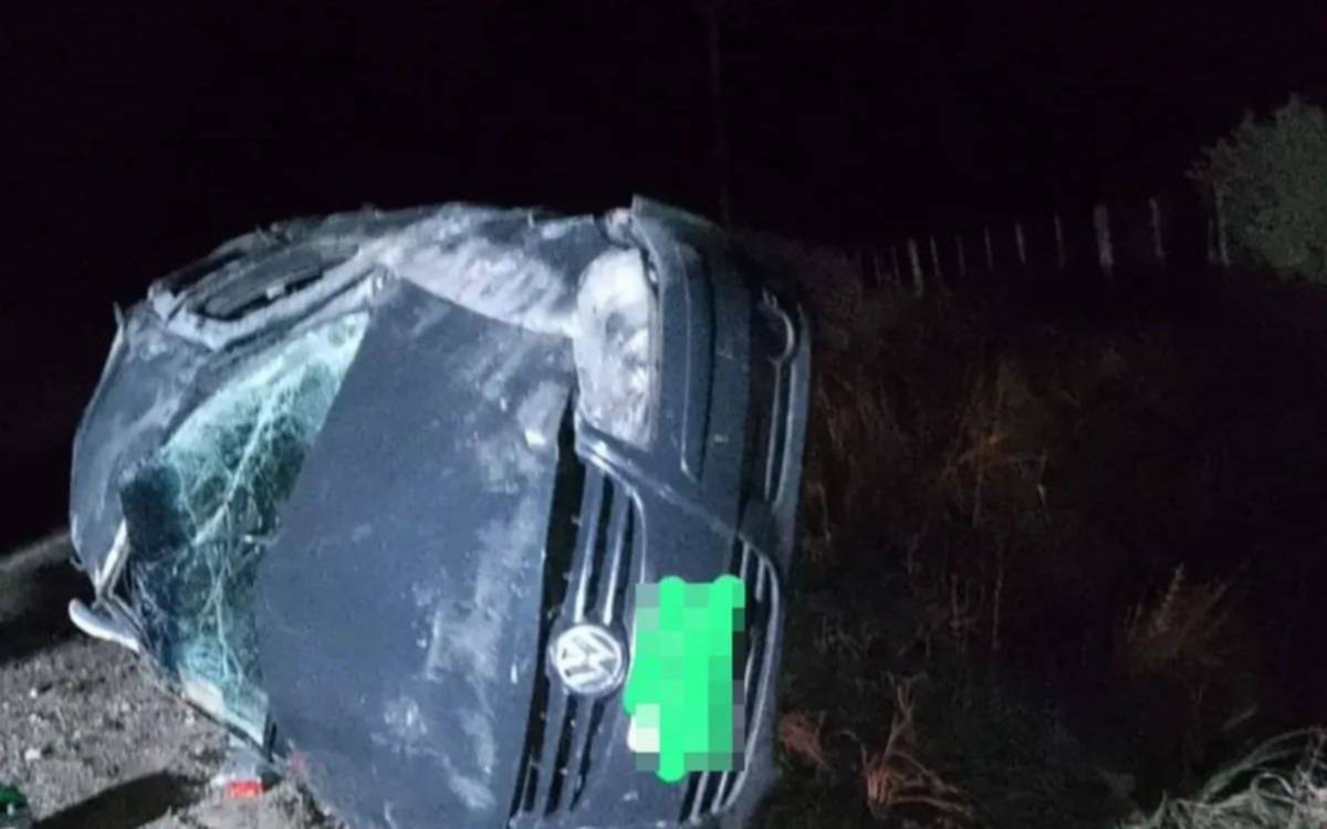 Un hombre cazaba pokemones mientras manejaba en la ruta, perdió el control del auto y murió 
