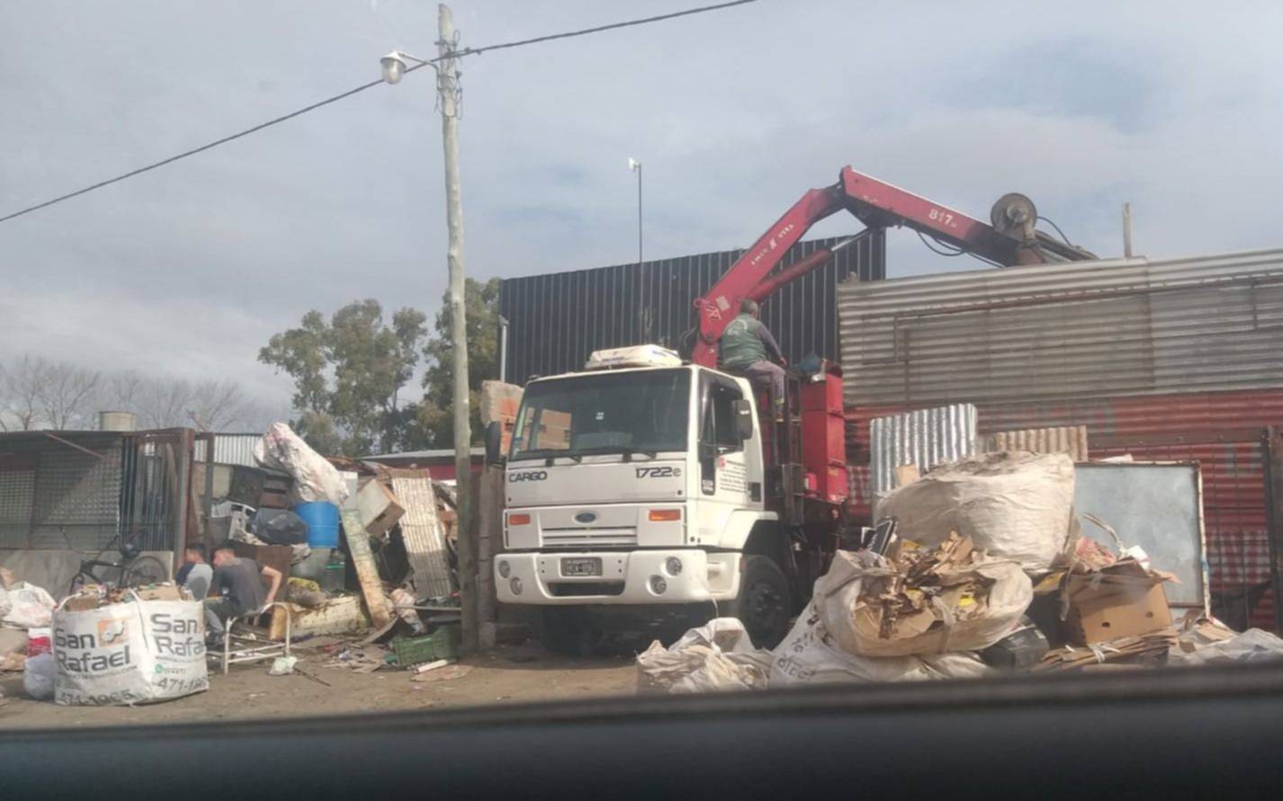 Denuncian "invasión de ratas" en San Carlos
