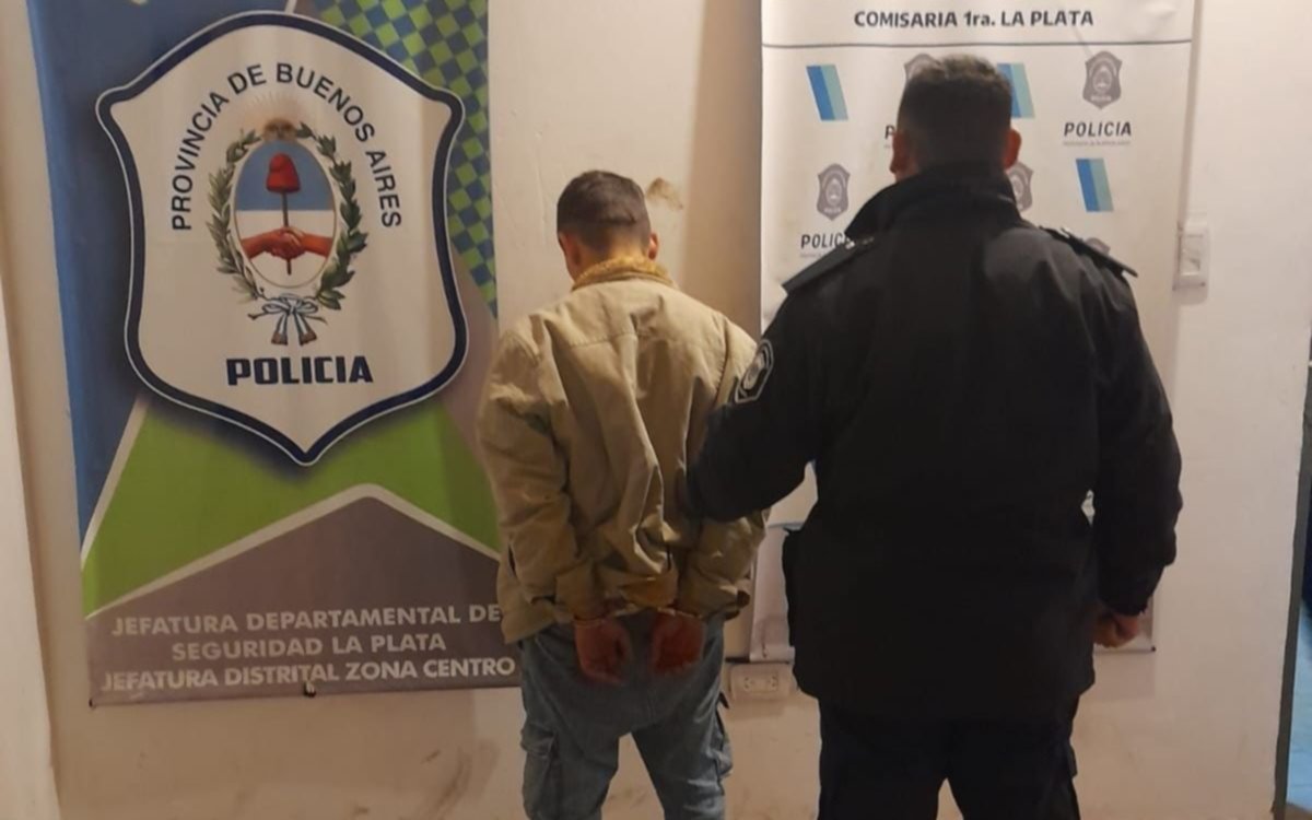 No aflojan los robos en pleno centro platense: esta vez lo atraparon